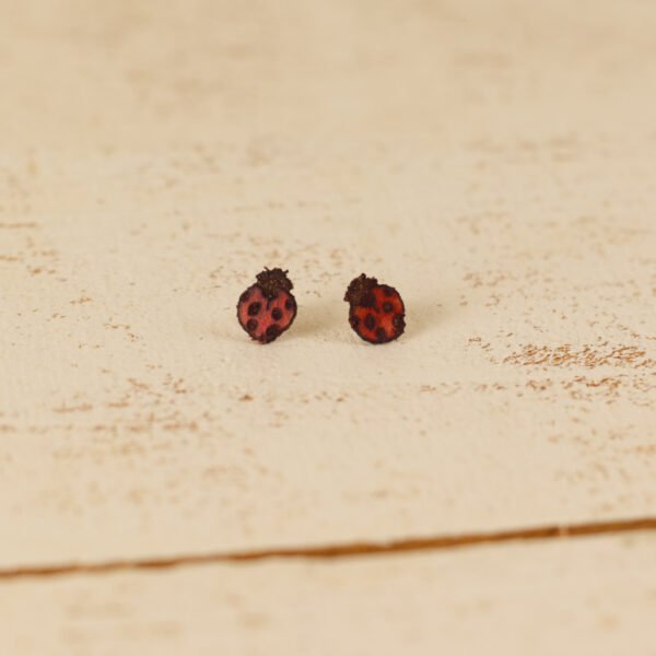 ladybug stud ladybug stud