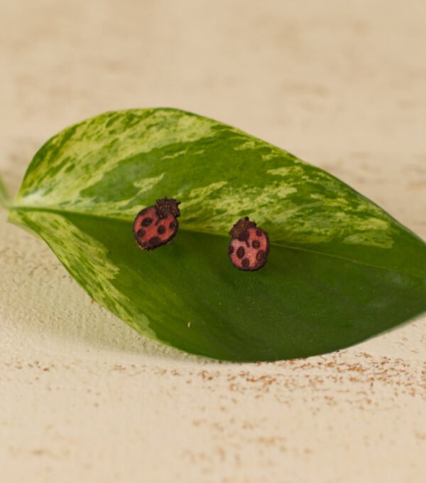 ladybug stud leaf